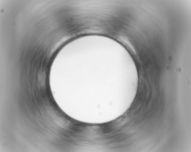 X0000088660108200706221645