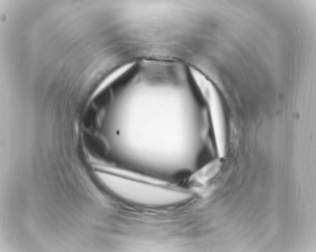 X0000088660109200706221645