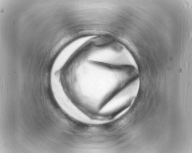 X0000088660111200706221645