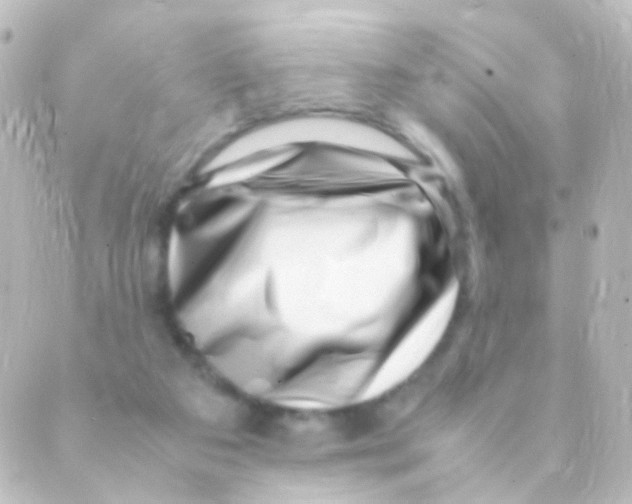 X0000088660113200706221645