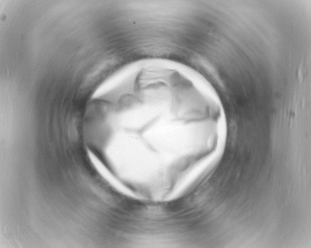X0000088660114200706221645