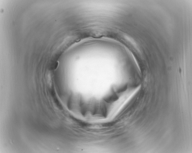 X0000088660121200706221645
