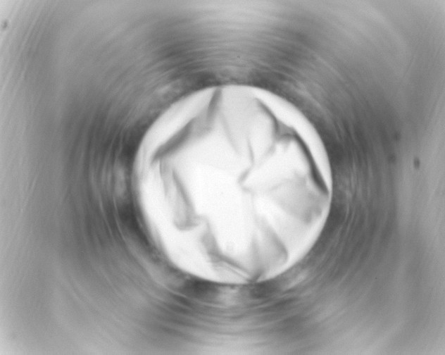 X0000088660130200706221645