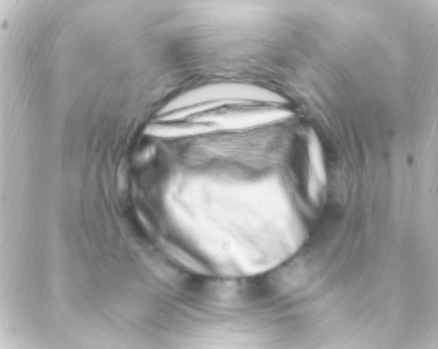 X0000088660131200706221645