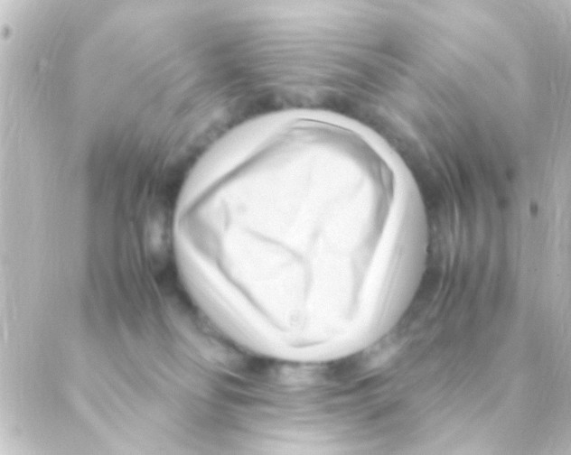 X0000088660134200706221645