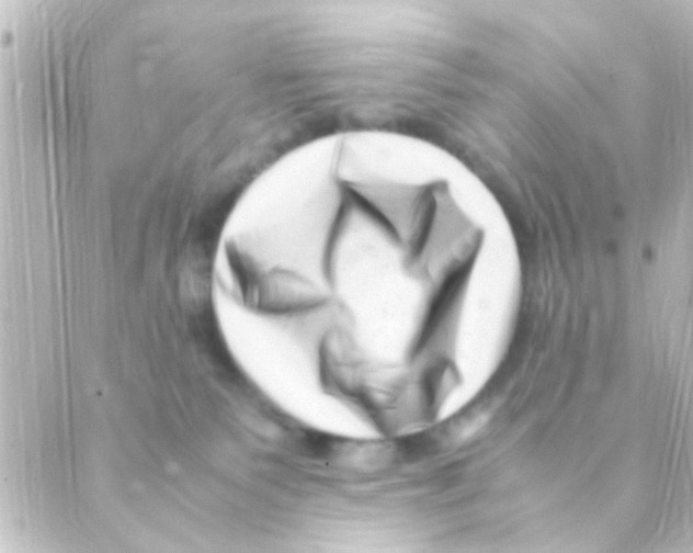 X0000088660135200706221645