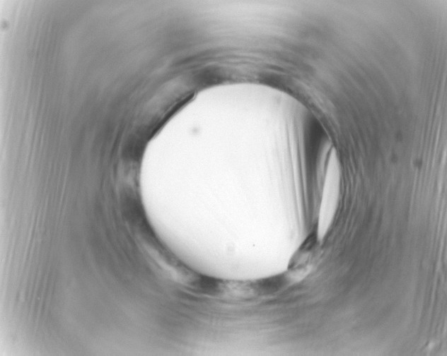 X0000088660141200706221645