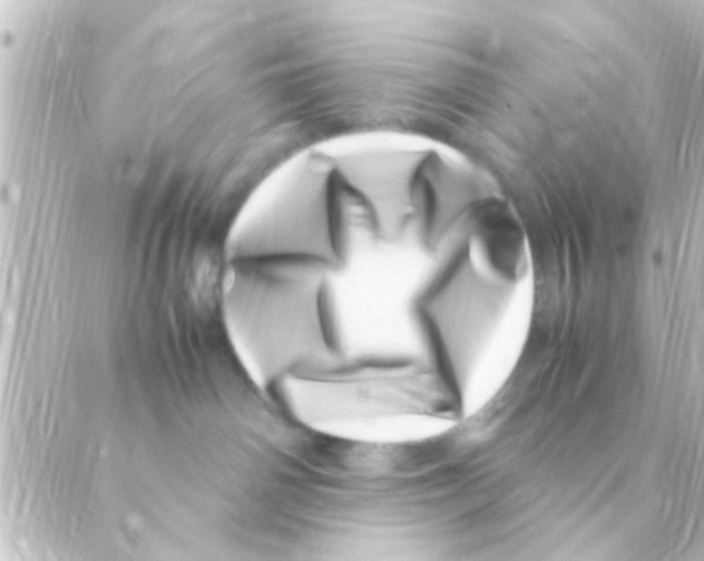 X0000088660142200706221645