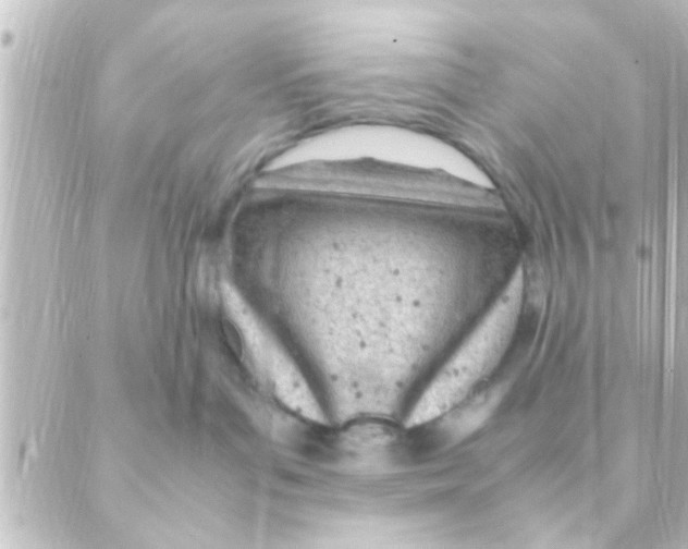 X0000088660143200706221644