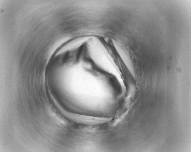 X0000088660148200706221644
