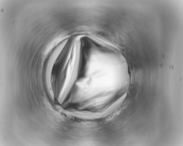 X0000088660150200706221644