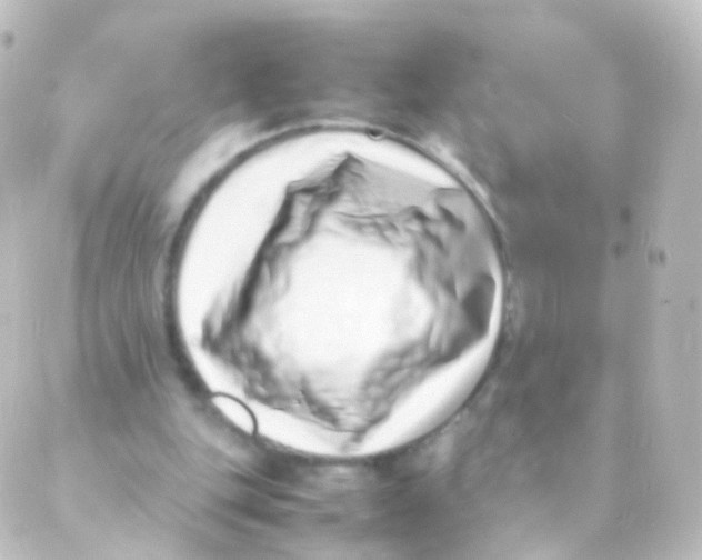 X0000088660151200706221644
