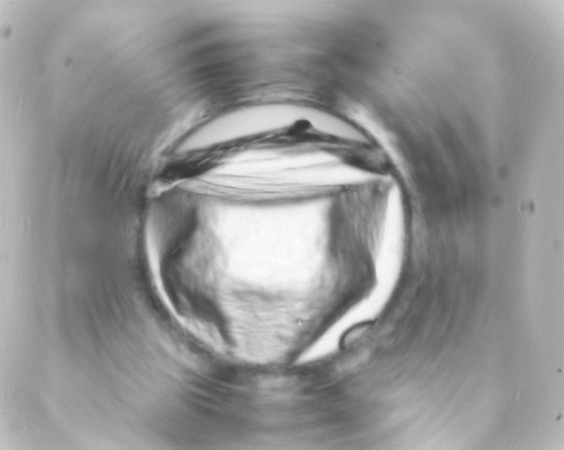 X0000088660153200706221644