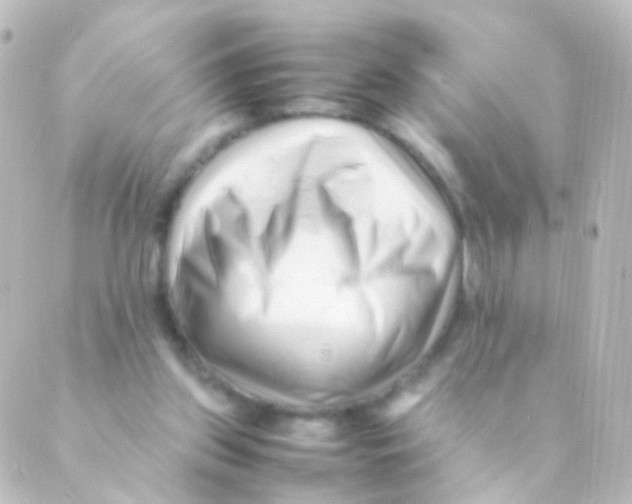 X0000088660157200706221644