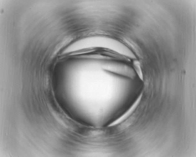X0000088660158200706221644