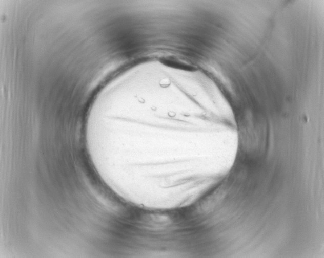 X0000088660159200706221644