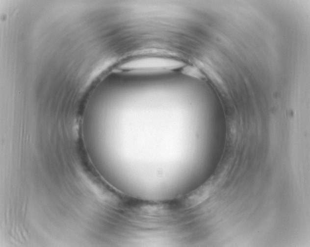 X0000088660160200706221644