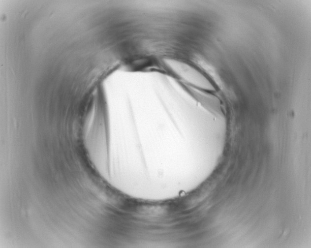 X0000088660161200706221644