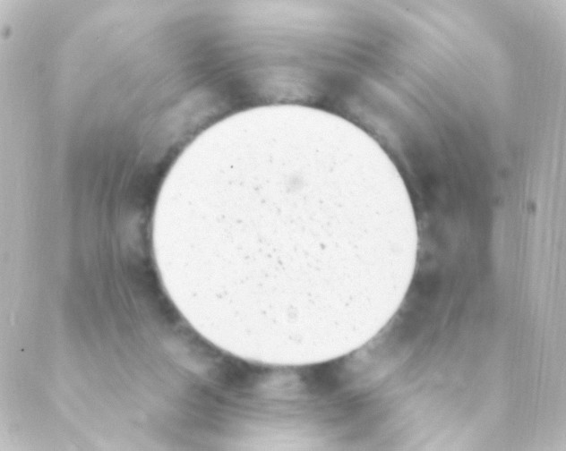 X0000088660162200706221644
