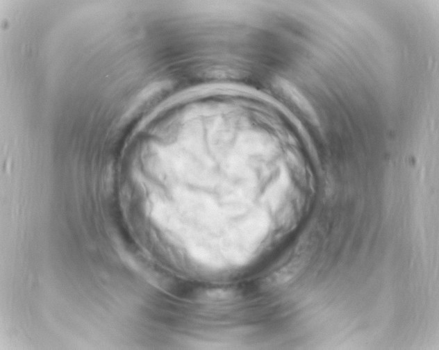 X0000088660163200706221644