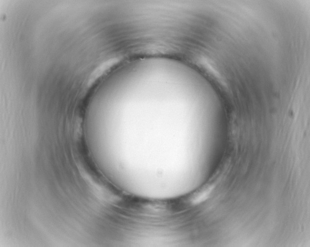 X0000088660164200706221644