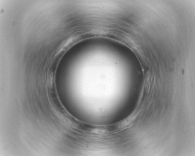 X0000088660168200706221644
