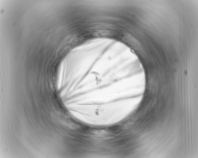 X0000088660169200706221644