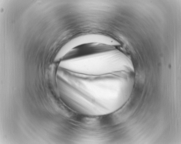 X0000088660170200706221644