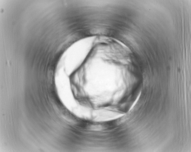 X0000088660171200706221644