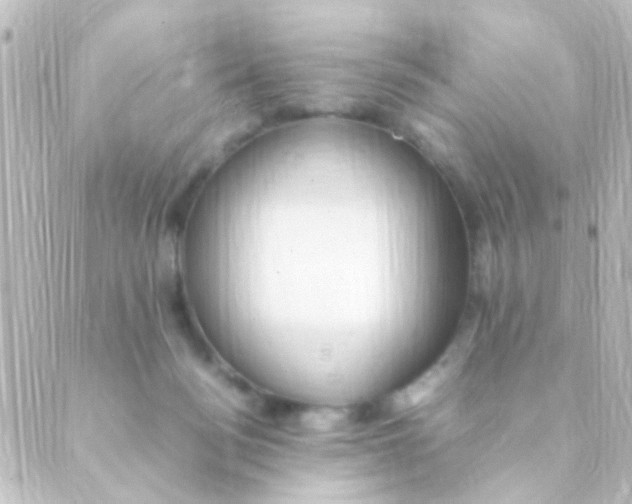 X0000088660172200706221644