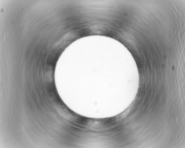 X0000088660174200706221644