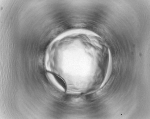 X0000088660175200706221644