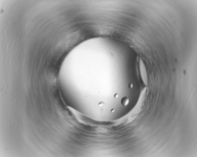 X0000088660176200706221644