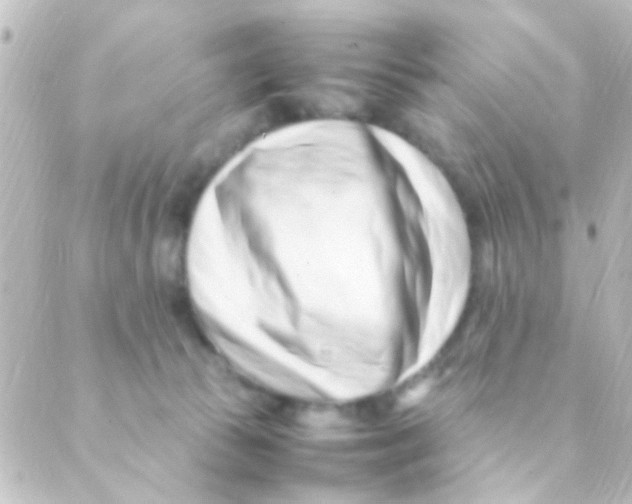 X0000088660177200706221644