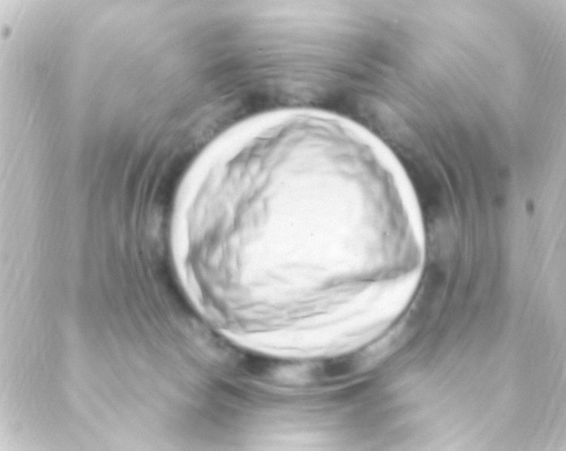 X0000088660178200706221644