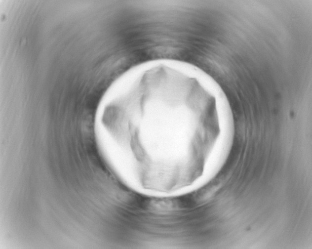 X0000088660181200706221644
