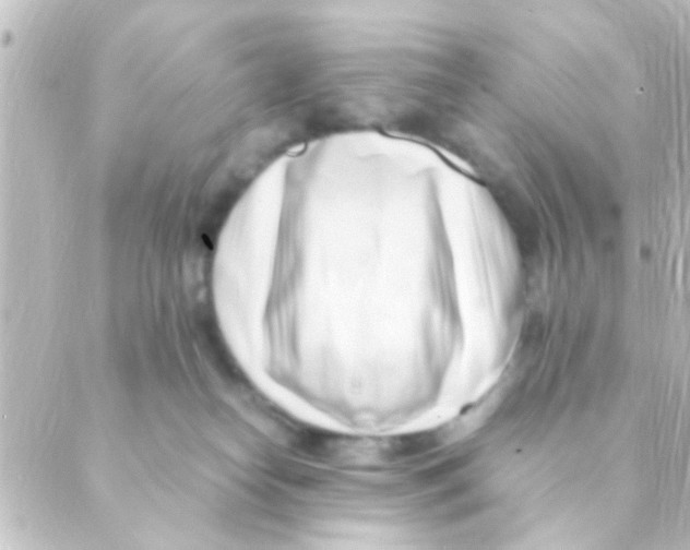 X0000088660182200706221644