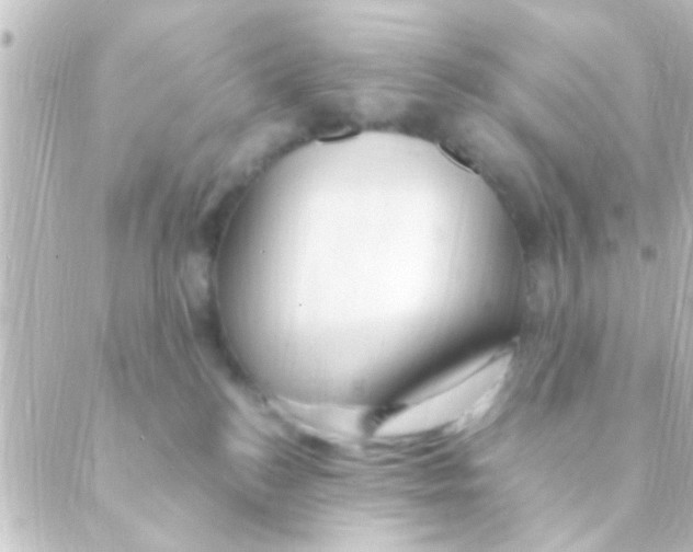X0000088660184200706221644