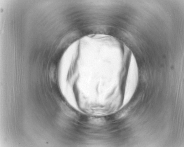 X0000088660185200706221644