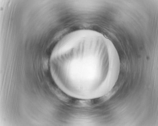 X0000088660188200706221644