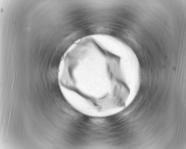 X0000088660189200706221644