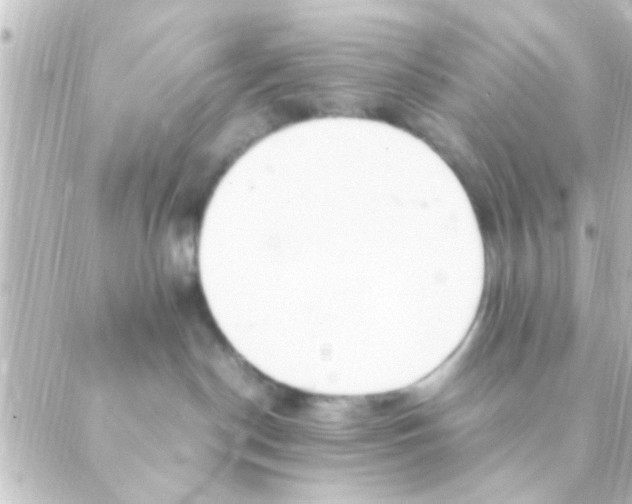 X0000088660190200706221644