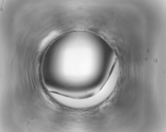 X0000088660197200706221644