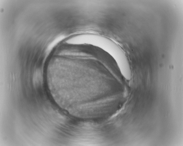 X0000088660200200706221644