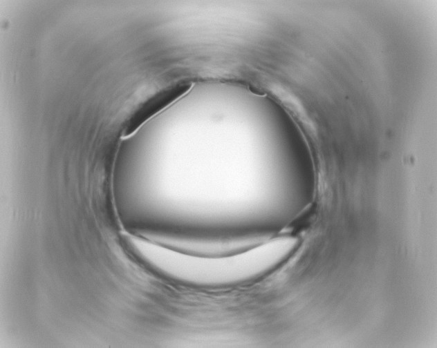 X0000088660201200706221644