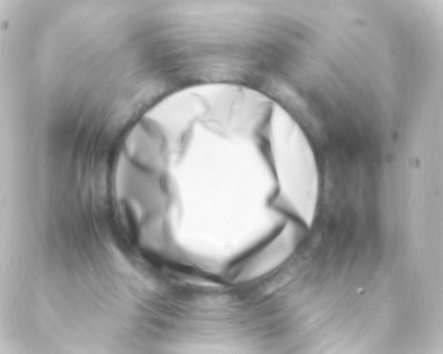 X0000088660202200706221644