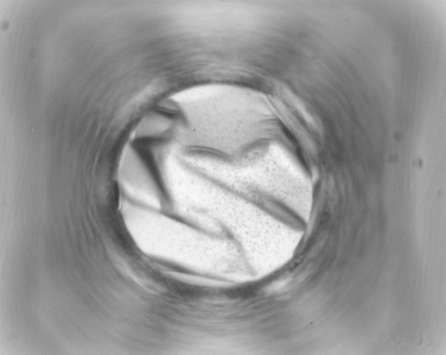 X0000088660203200706221644
