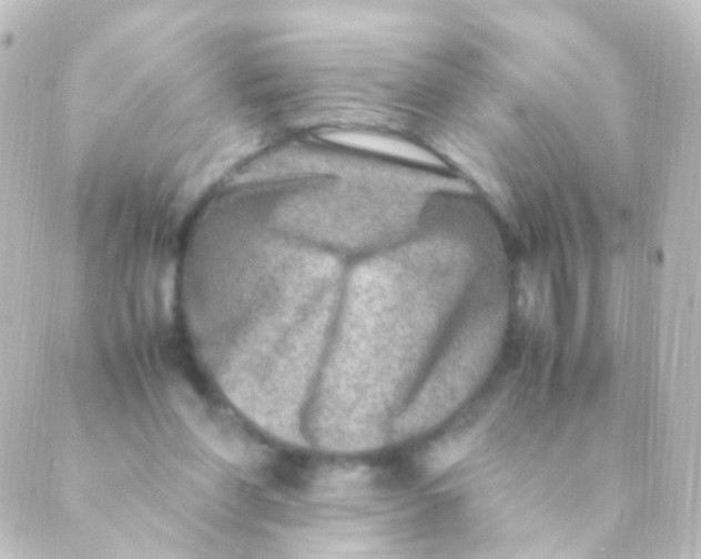 X0000088660206200706221643