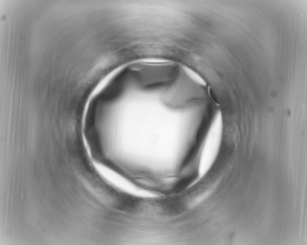 X0000088660207200706221643