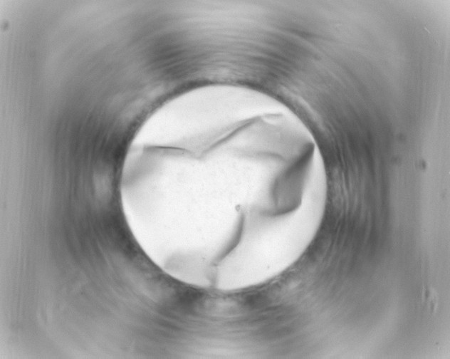 X0000088660208200706221643
